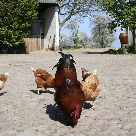 Bed & Breakfast Teglgaarden